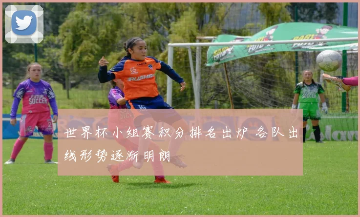 世界杯小组赛积分排名出炉 各队出线形势逐渐明朗
