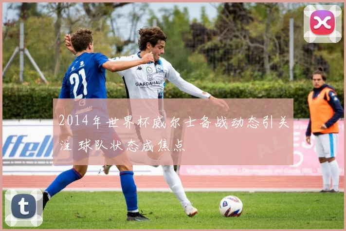 2014年世界杯威尔士备战动态引关注 球队状态成焦点