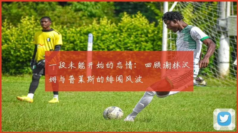 一段未能开始的恋情：回顾谢林汉姆与普莱斯的绯闻风波